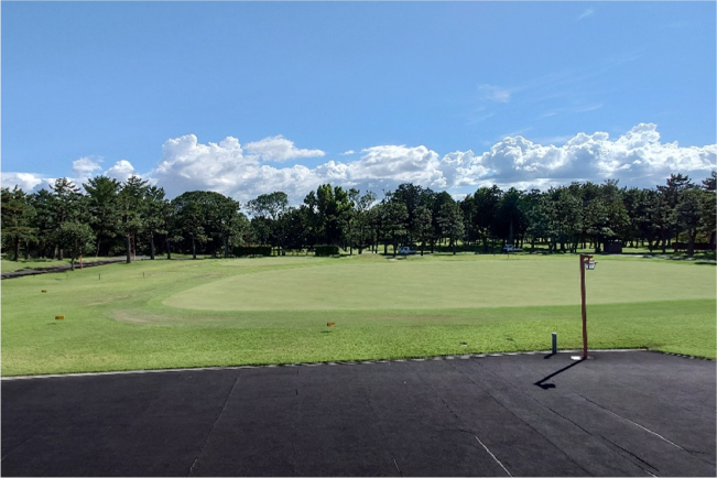 JLPGA（日本女子プロゴルフ協会）の競技履歴・ボタン